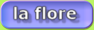 La flore de Madagascar